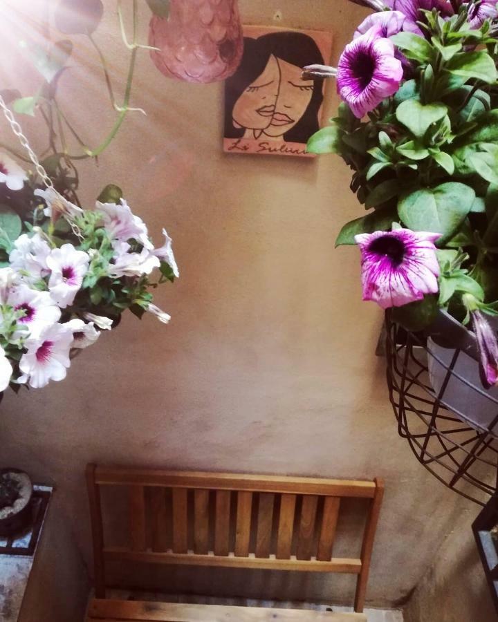 Li Suluri Bed and Breakfast Λέτσε Εξωτερικό φωτογραφία